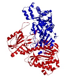 Image of CATH 2iw2